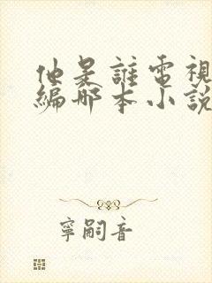 他是谁电视剧改编哪本小说