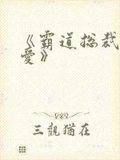 《霸道总裁放肆爱》