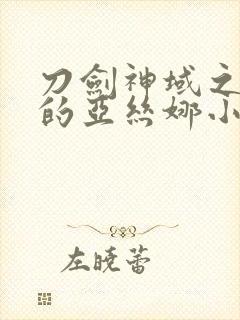 刀剑神域之堕落的亚丝娜小说