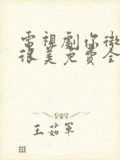 电视剧你微笑时很美免费全集