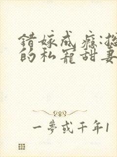 错嫁成瘾:总裁的私宠甜妻