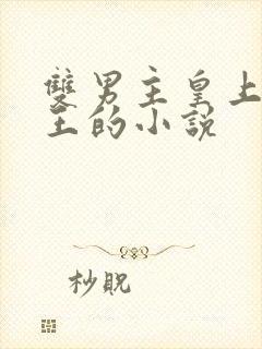 双男主皇上摄政王的小说