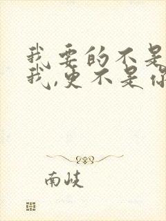 我要的不是你爱我,更不是你恨我是什么歌