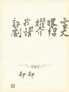 许我耀眼电视剧剧情介绍大结局