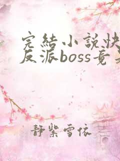 完结小说快穿:反派boss竟是我自己