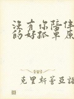 没有你陪伴我真的好孤单原唱完整