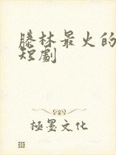 滕林最火的十部短剧