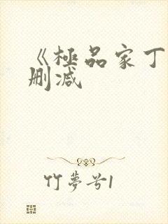 《极品家丁》无删减