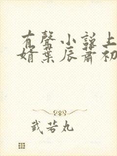 有声小说上门龙婿叶辰萧初然