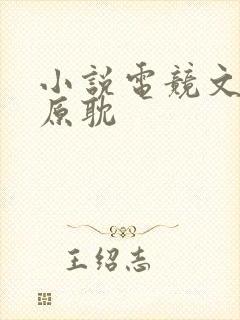 小说电竞文推荐原耽