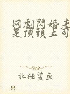 网剧闪婚老公竟是顶头上司