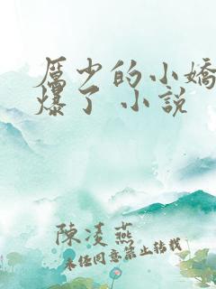 厉少的小娇妻甜爆了 小说