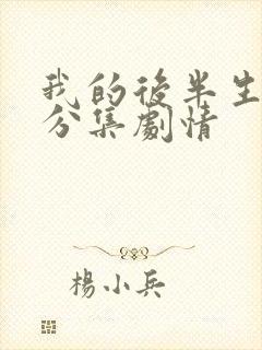 我的后半生剧情分集剧情