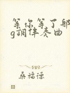 等你等了那么久g调伴奏曲