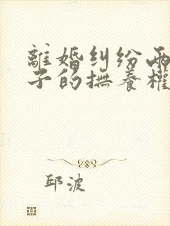 离婚纠纷两个孩子的抚养权如何确定判决