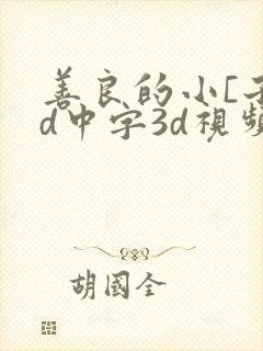 善良的小[子hd中字3d视频