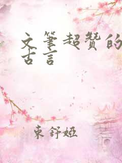 文笔超赞的宅斗古言