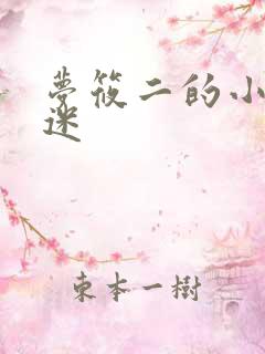 梦筱二的小说执迷