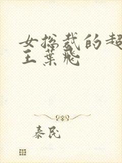 女总裁的超级兵王叶飞