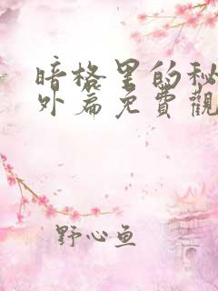 暗格里的秘密番外篇免费观看