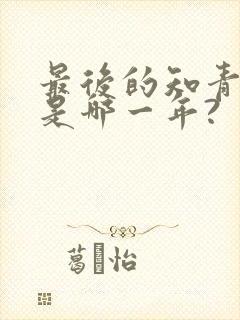 最后的知青下乡是哪一年?