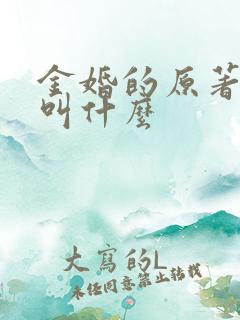 金婚的原著小说叫什么