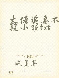 大佬追妻不择手段小说txt