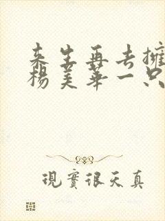 来生再去拥抱你杨美华一只舟