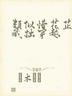 类似惜花芷女主藏拙穿越