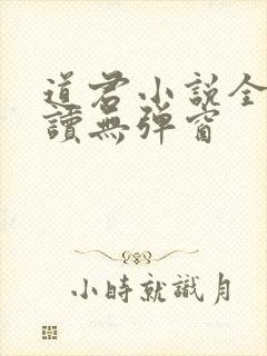 道君小说全文阅读无弹窗
