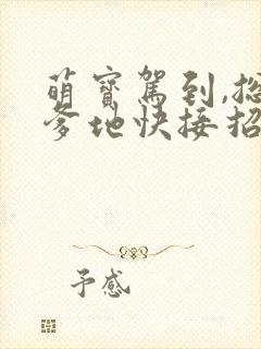 萌宝驾到,总裁爹地快接招