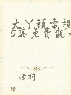 大丫头电视剧35集免费观看