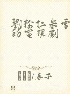 刘松仁米雪主演的电视剧