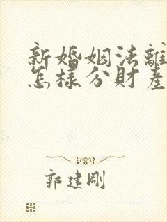 新婚姻法离婚是怎样分财产分割