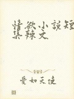 情欲小说短篇合集辣文