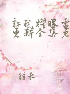 许我耀眼电视剧更新全集免费观看