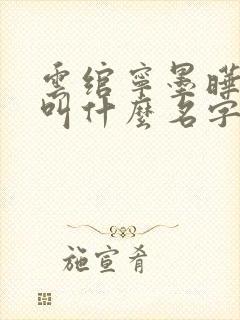 云绾宁墨晔小说叫什么名字