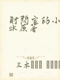 财阀家的小儿子sk原著