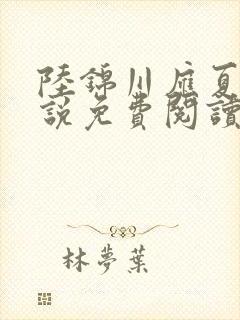 陆锦川应夏的小说免费阅读无弹窗