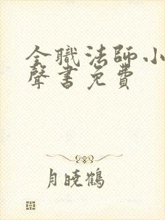 全职法师小说有声书免费