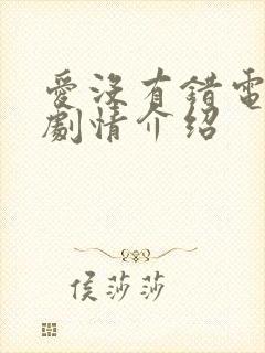 爱没有错电视剧剧情介绍