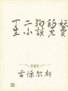 丁二狗的妖孽人生小说免费阅读