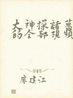 大神探诸葛九九的全部视频