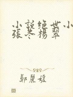 小说绝世小仙医张冬杨翠