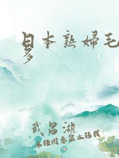 日本熟妇毛多水多