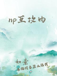 np互攻肉