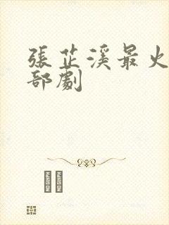 张芷溪最火的三部剧