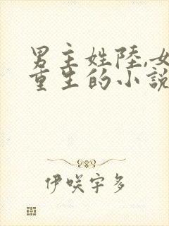 男主姓陆,女主重生的小说