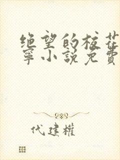 绝望的校花赵诗宁小说免费阅读