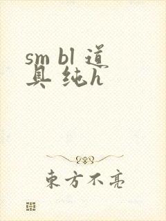 sm bl 道具 纯h